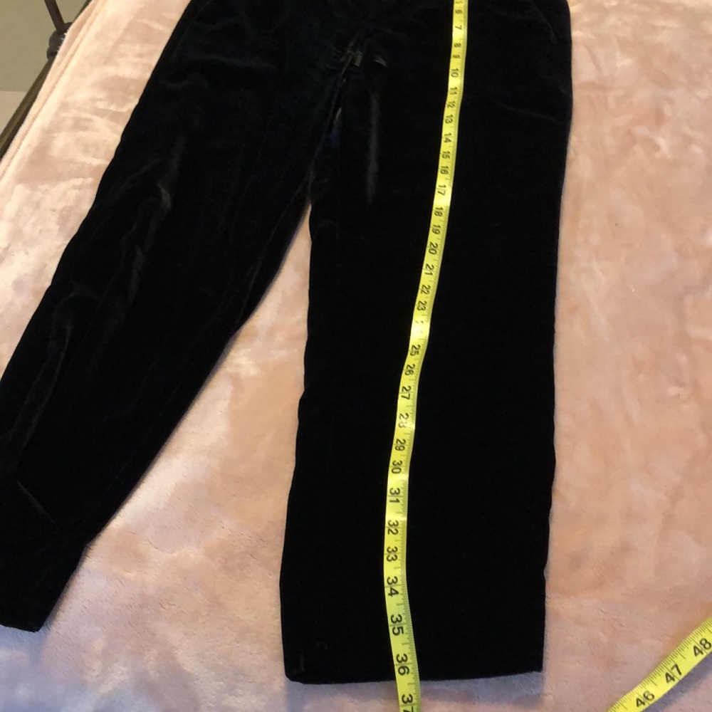 JCrew Velvet Pants - Picture 10 of 13
